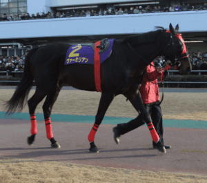 ヴァーミリアン